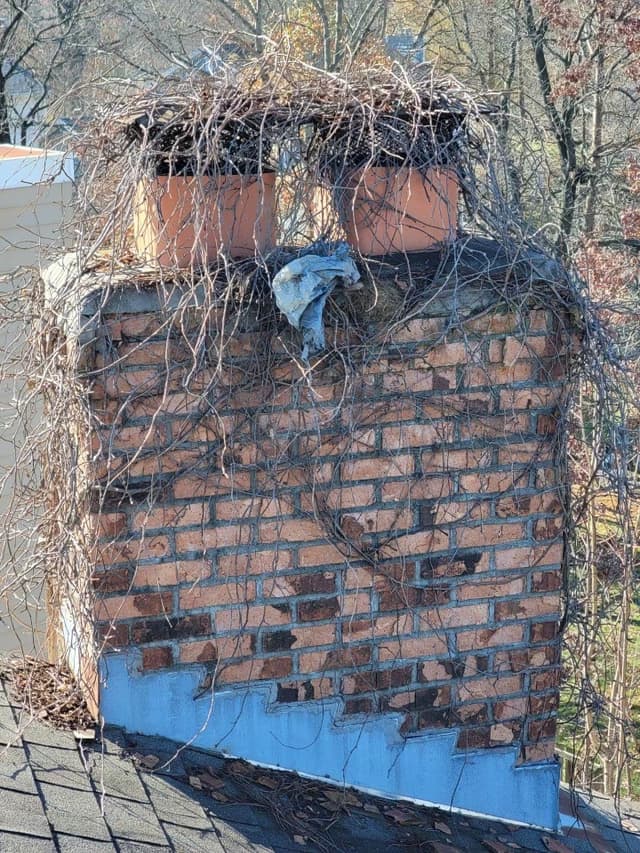 Fire Hazard Removal